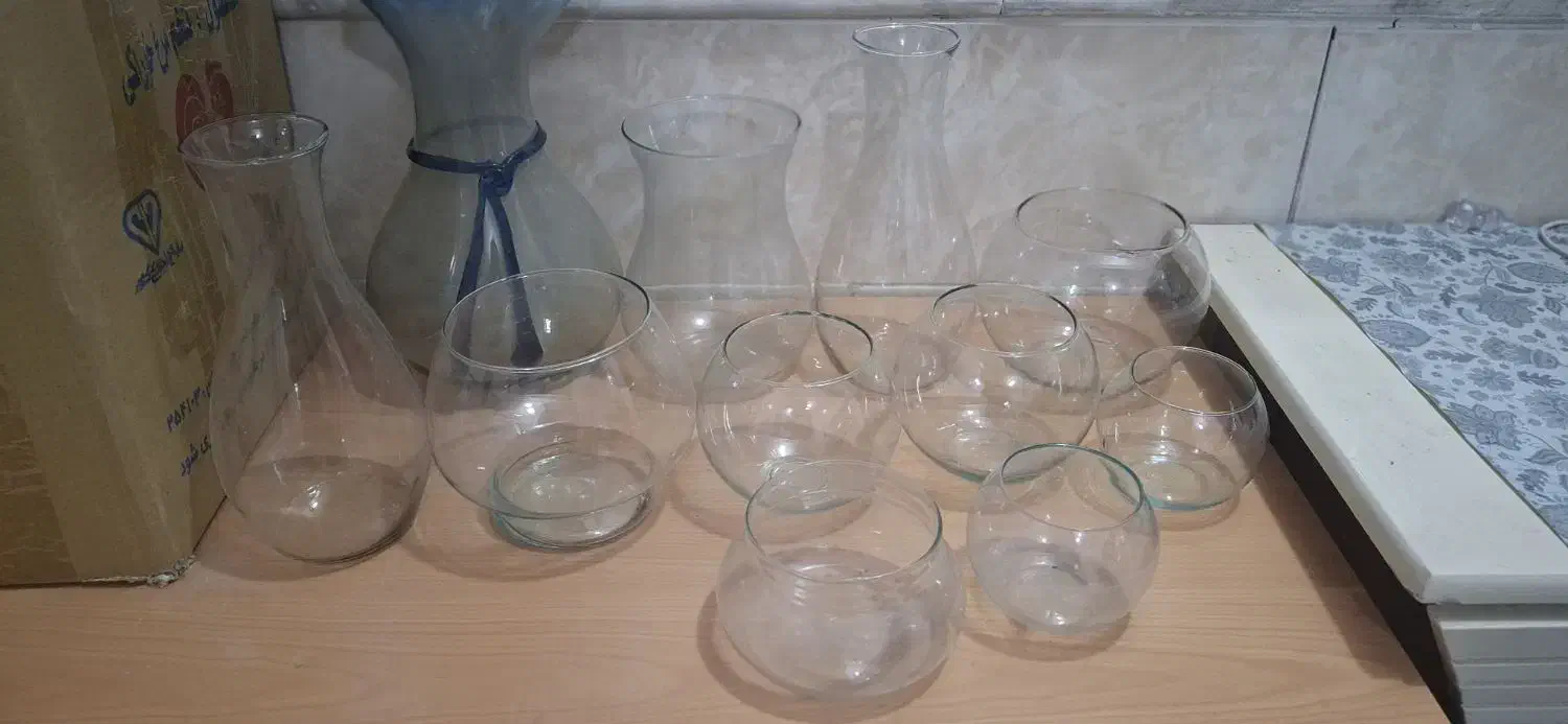 تنگ ماهی|ماهی|قم, ولیعصر|دیوار