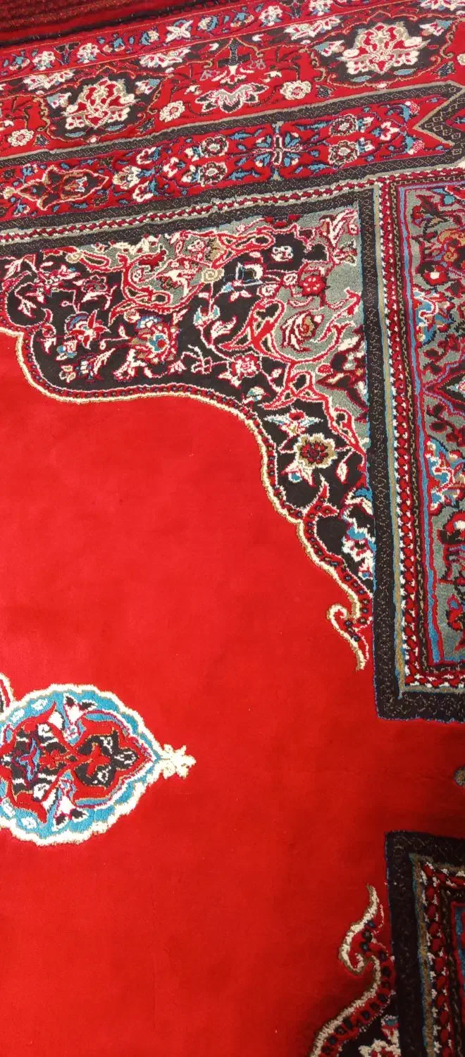 فرش دستبافت وفرش ماشینی|فرش|زاهدان, |دیوار