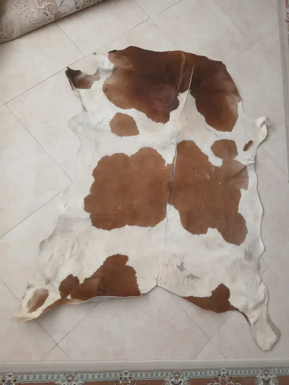 پوست گاو دو رنگ سفید و قهوه ای|پادری|تهران, آذری|دیوار