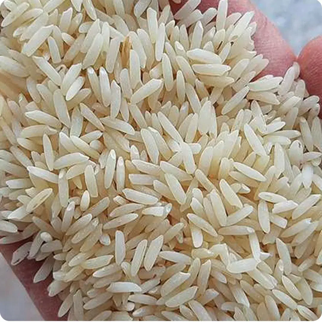 ۳۰٪ آف تا آخر ماه /برنج ایرانی طارم هاشمی اعلا|خوردنی و آشامیدنی|اصفهان, شهرک قدس|دیوار