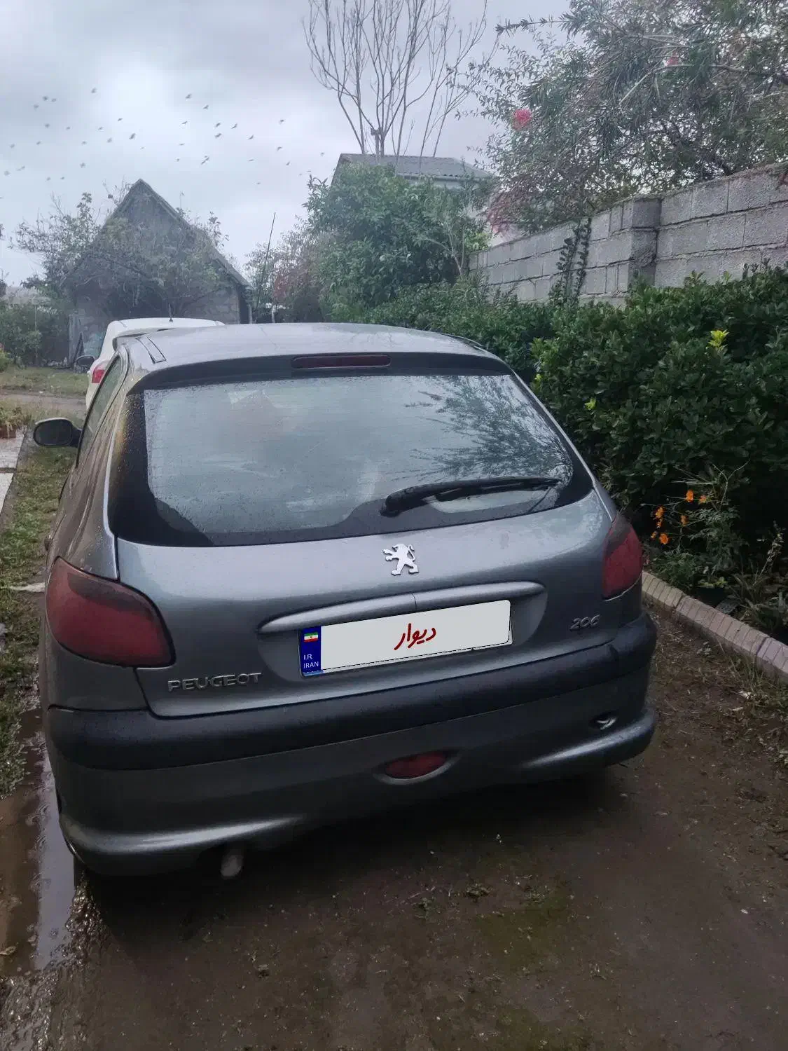 پژو206مدل87|خودرو سواری و وانت|رشت, کوی امام رضا|دیوار