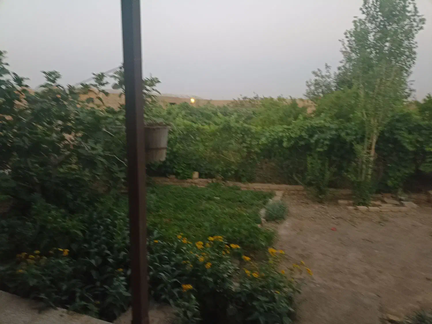 فروش خونه باغ و دامداری در ساوه با سند تک برگ|فروش دفتر صنعتی، کشاورزی، تجاری|تهران, منیریه|دیوار