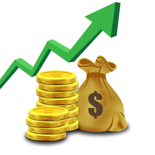 سرمایه گذاری در صنعت صادرات پای مرغ به چین|فعالیت داوطلبانه|تهران, بازار|دیوار