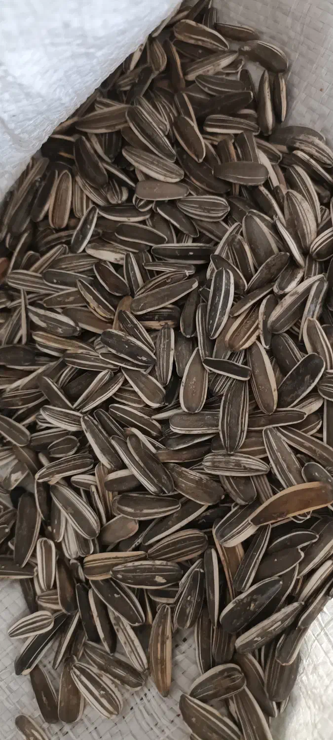 استاد کار تخمه پزی و کارگر ساده نیازمندیم|استخدام خدمات فروشگاه و رستوران|کرمانشاه, |دیوار