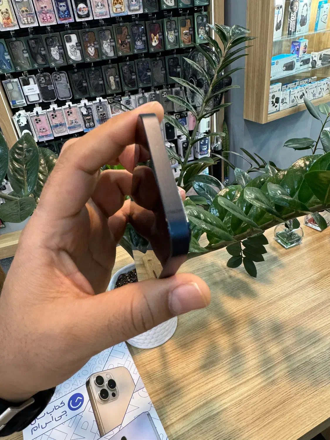 ایفون iPhone 13 حافظه 128بدون پیش پرداخت|موبایل|کرج, عظیمیه|دیوار