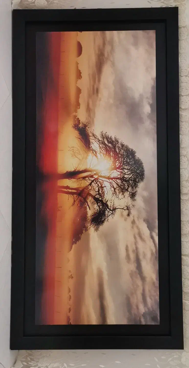 تابلو نو با طرح شیک|تابلو، نقاشی، عکس|سبزوار, قصبه شرقی|دیوار