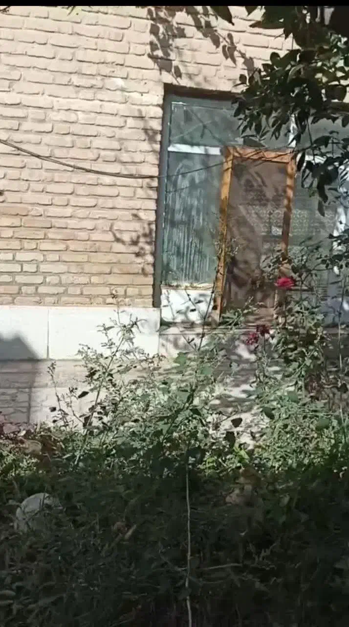 فروش ۲۵۰ متری خانه حیاط دار با صفا|فروش خانه و ویلا|اردستان, |دیوار