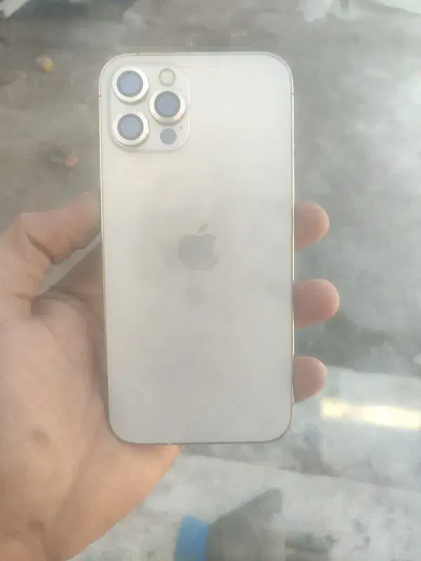 ایفن .12پرو|موبایل|کرمان, |دیوار