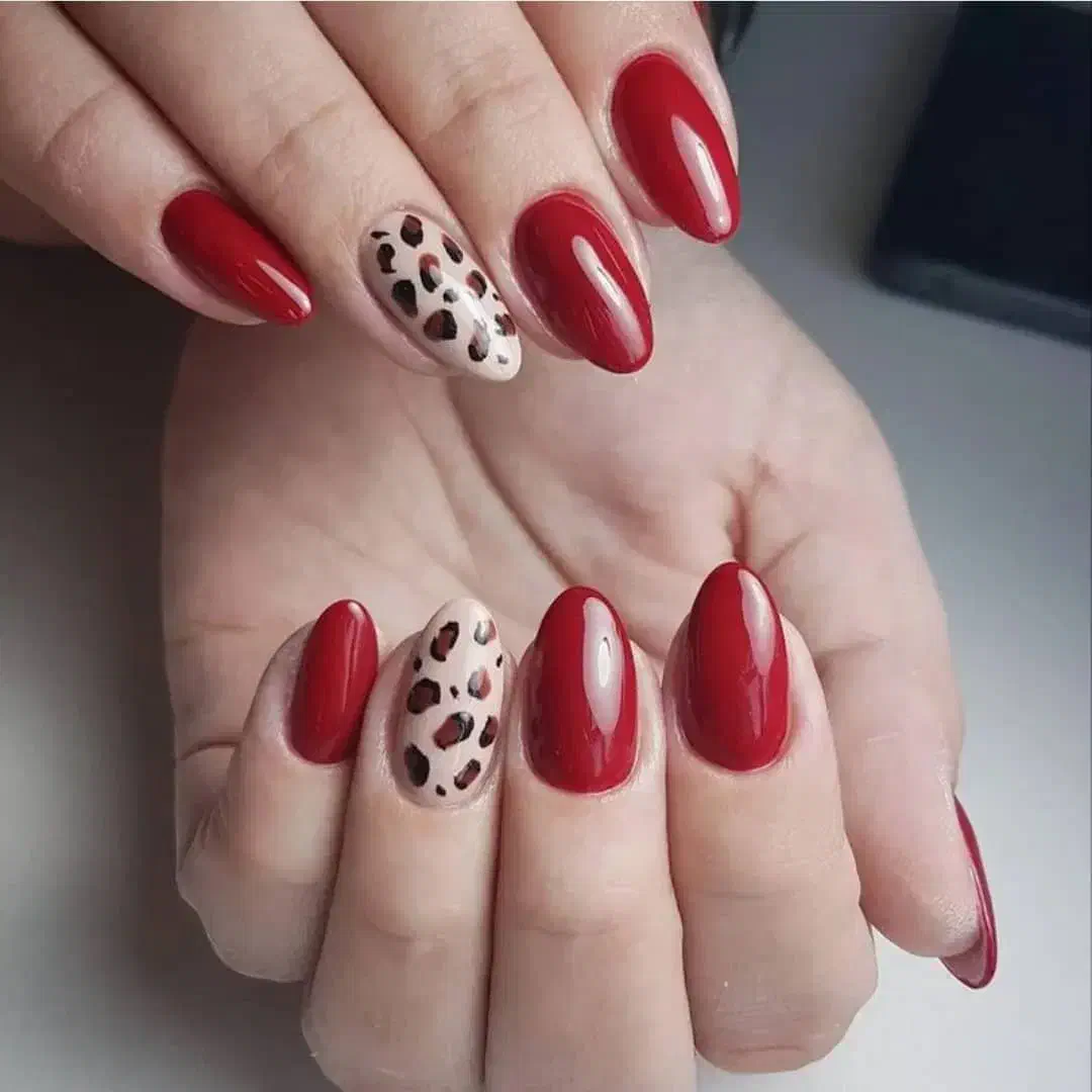 آموزش صفر تا صد آرایشگری|خدمات آموزشی|اردبیل, |دیوار