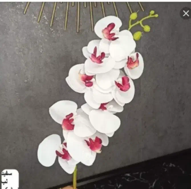 گل ارکیده|گل مصنوعی|خرمدره, |دیوار