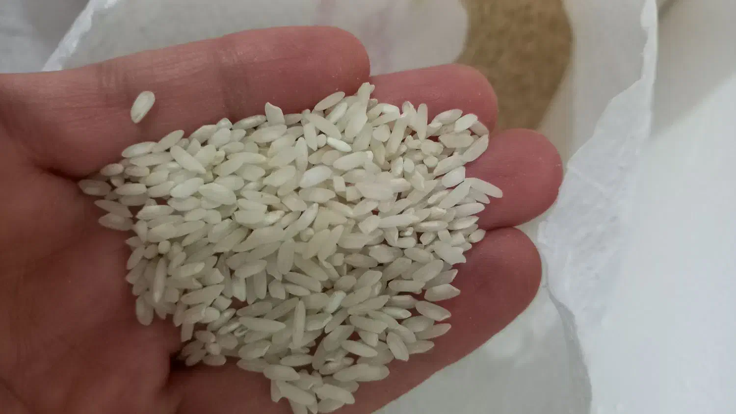 برنج علی کاظمی درجه۱|خوردنی و آشامیدنی|بروجرد, |دیوار