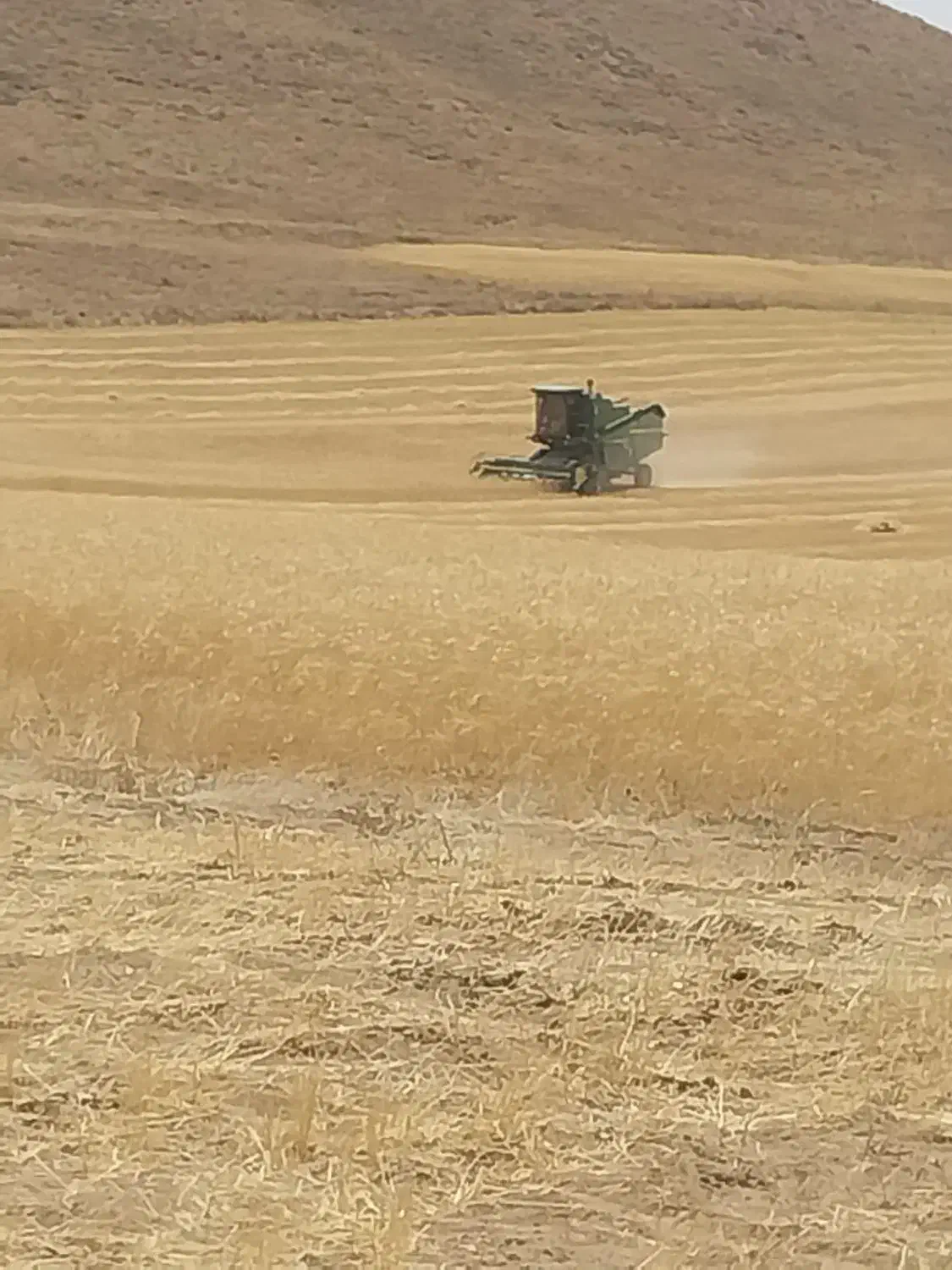 زمین کشاورزی حاصلخیز در شوشتری|فروش زمین و ملک کلنگی|چنگ الماسی, |دیوار