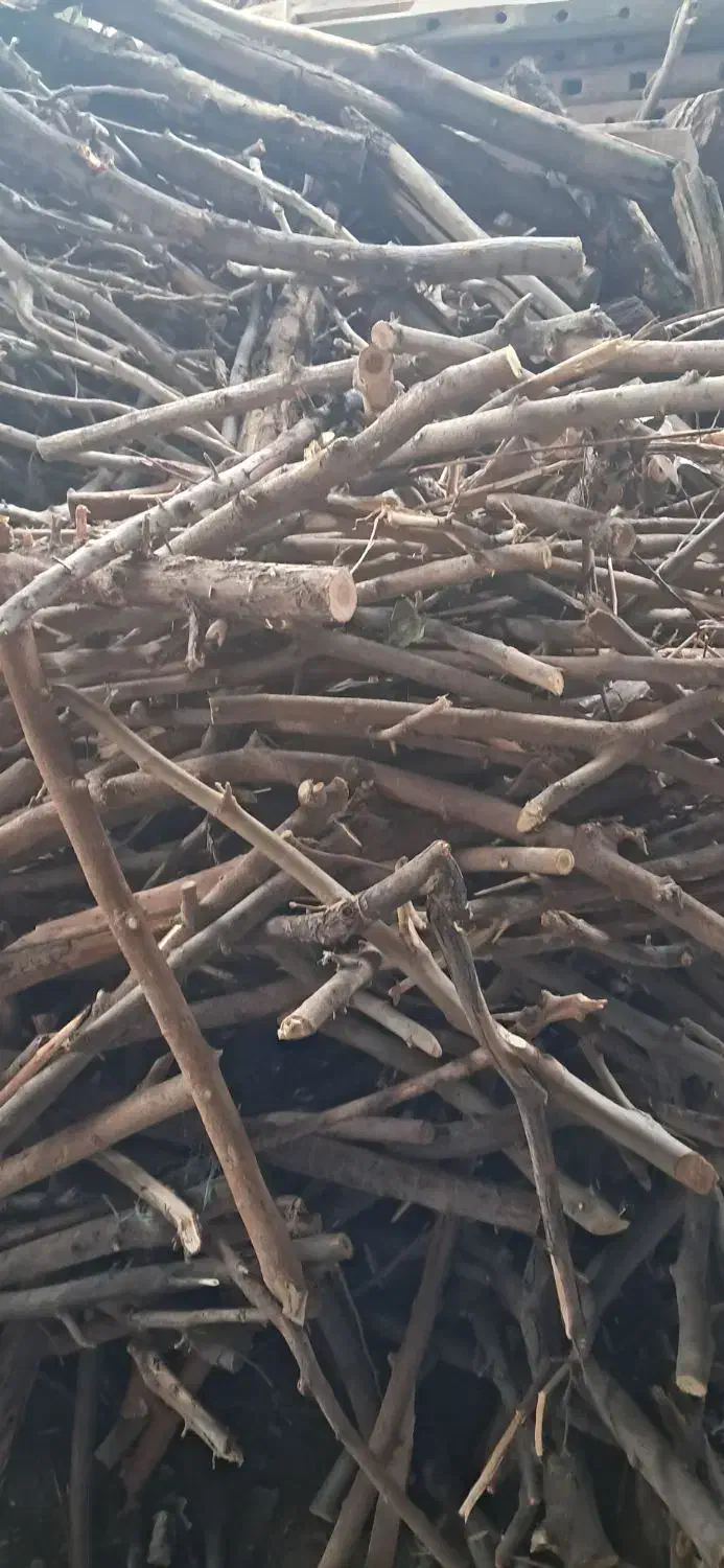 خریدار چوب|خدمات باغبانی و درختکاری|نظرآباد, شهرک سید جمال الدین|دیوار