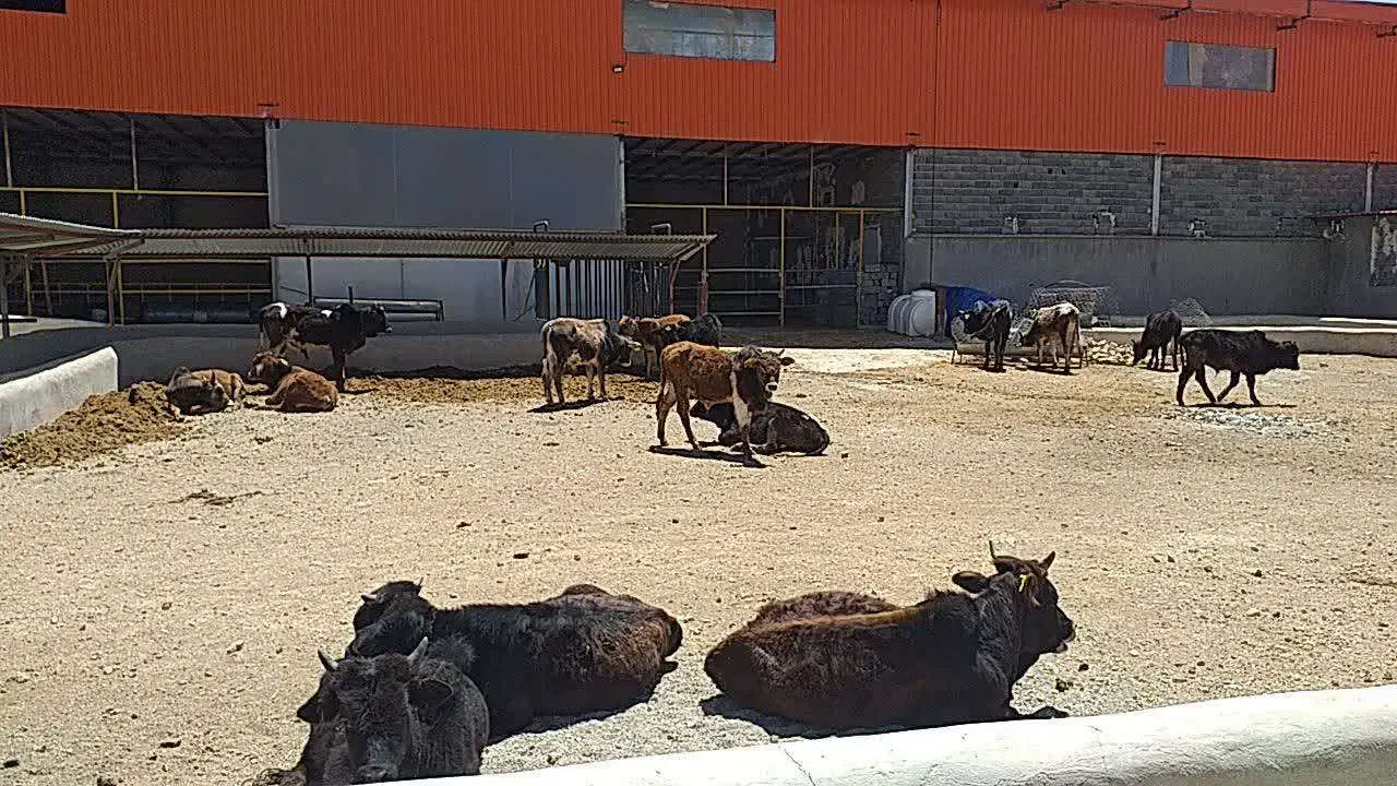 اجاره دامداری شهرستان دماوند|اجارهٔ دفتر صنعتی، کشاورزی، تجاری|دماوند, دماوند|دیوار