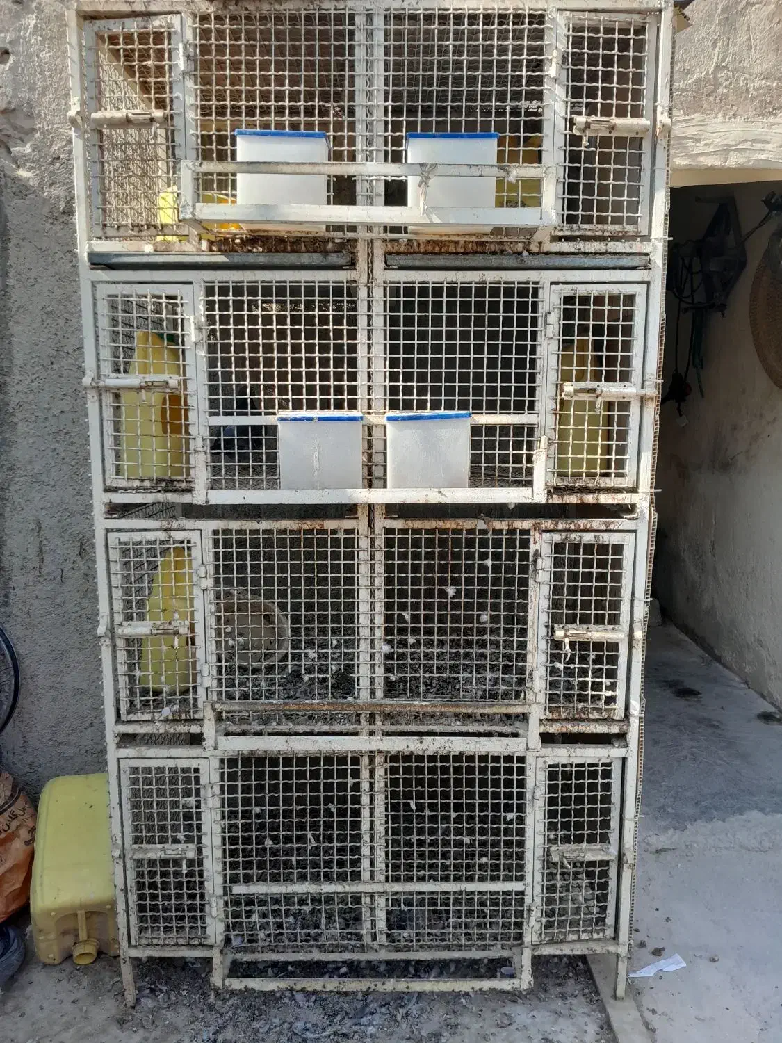 جفت گاه کبوتر|لوازم جانبی حیوانات|بندر کنگان, |دیوار