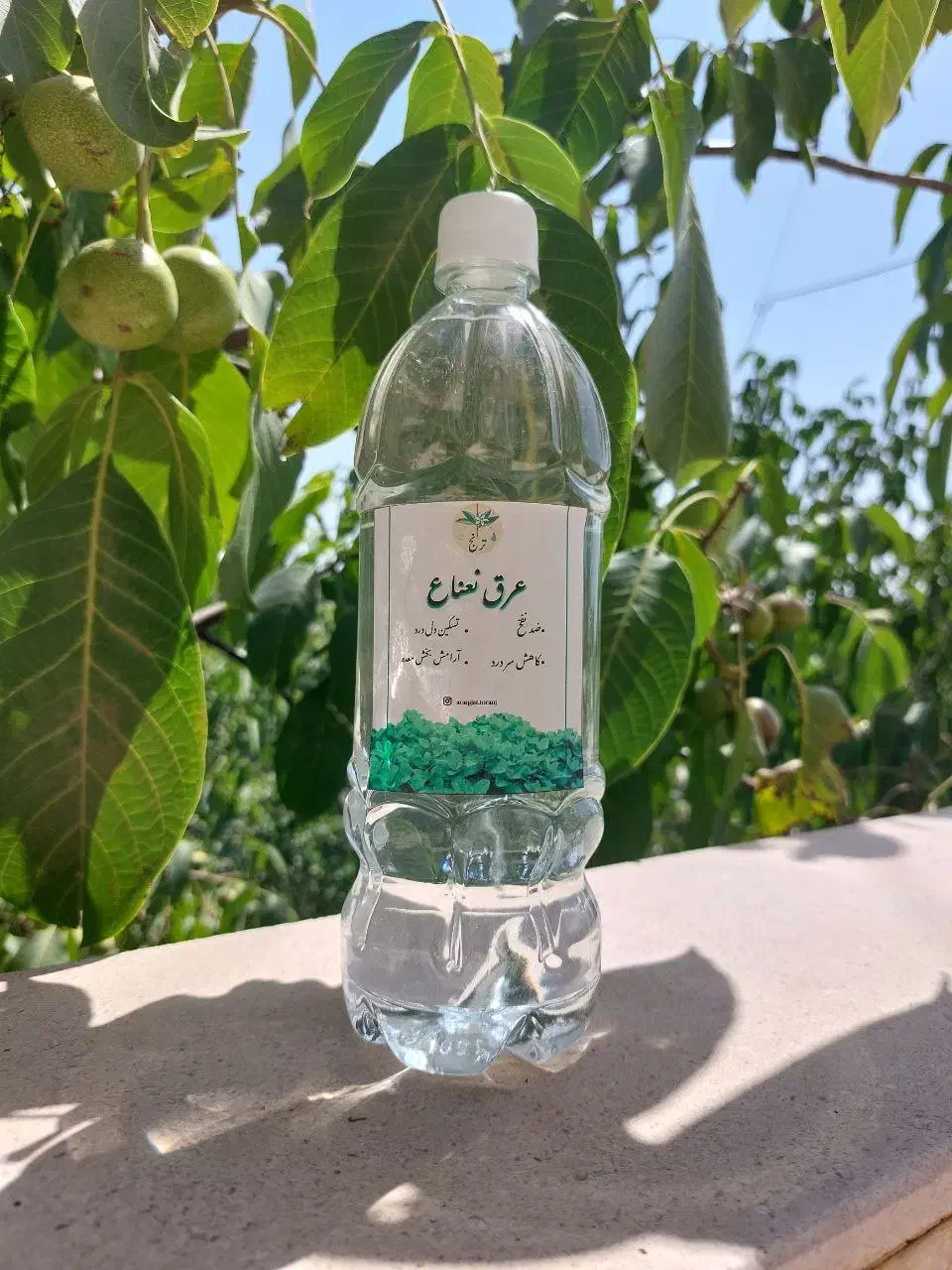 عرقیجات گیاهی صددر صد خانگی و خالص به شرط ضمانت|حراج|مشهد, مهدی آباد (بلوار توس)|دیوار