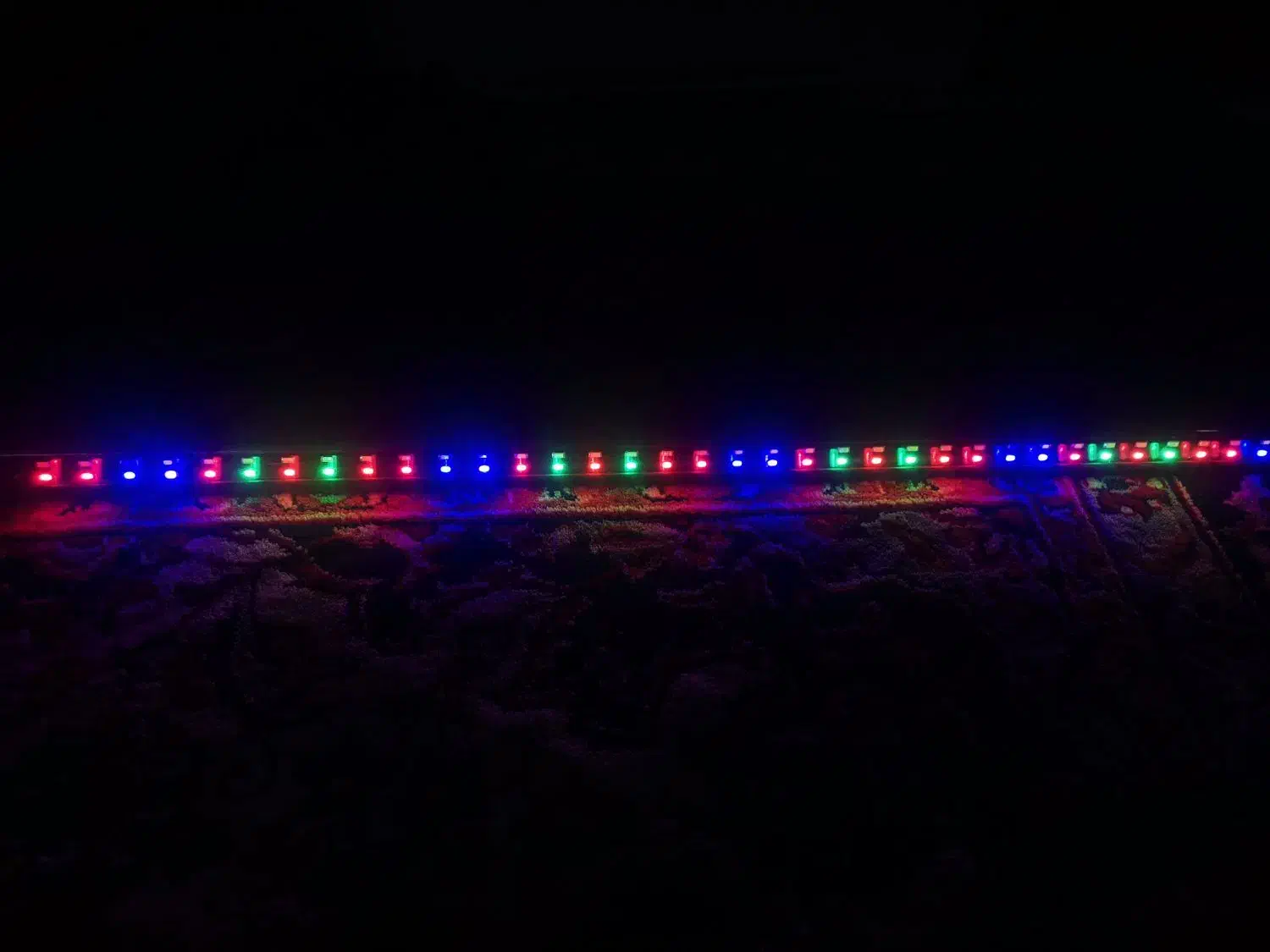 نور حرفه ای ۸۰سانتی|گل و گیاه طبیعی|رشت, منظریه|دیوار