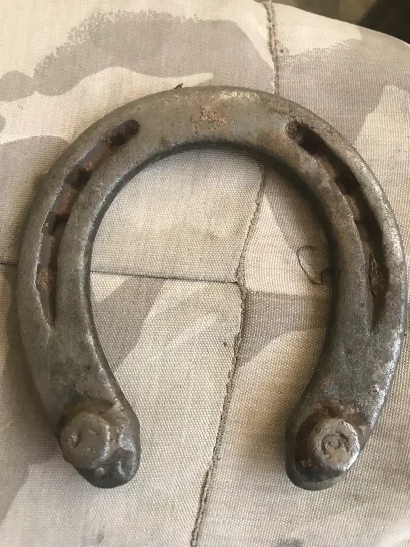 نعل اسب|اسب و تجهیزات اسب‌سواری|قم, هفت تیر|دیوار