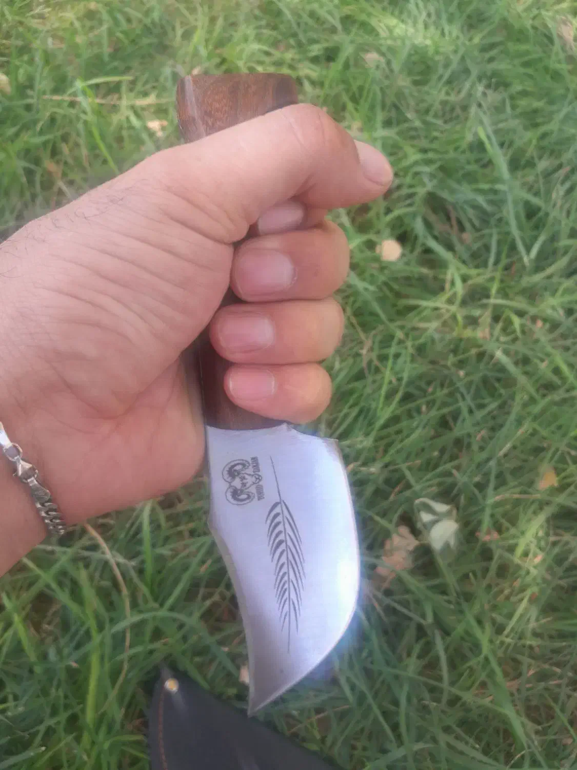 چاقو فولادی تیغ تیز|کوهنوردی و کمپینگ|مسجد سلیمان, |دیوار