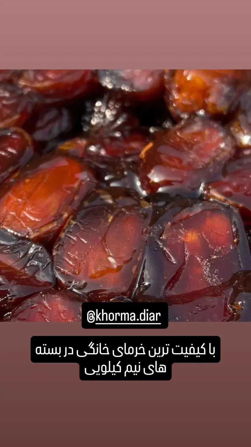 خرما خانگی|خوردنی و آشامیدنی|رشت, گلسار|دیوار