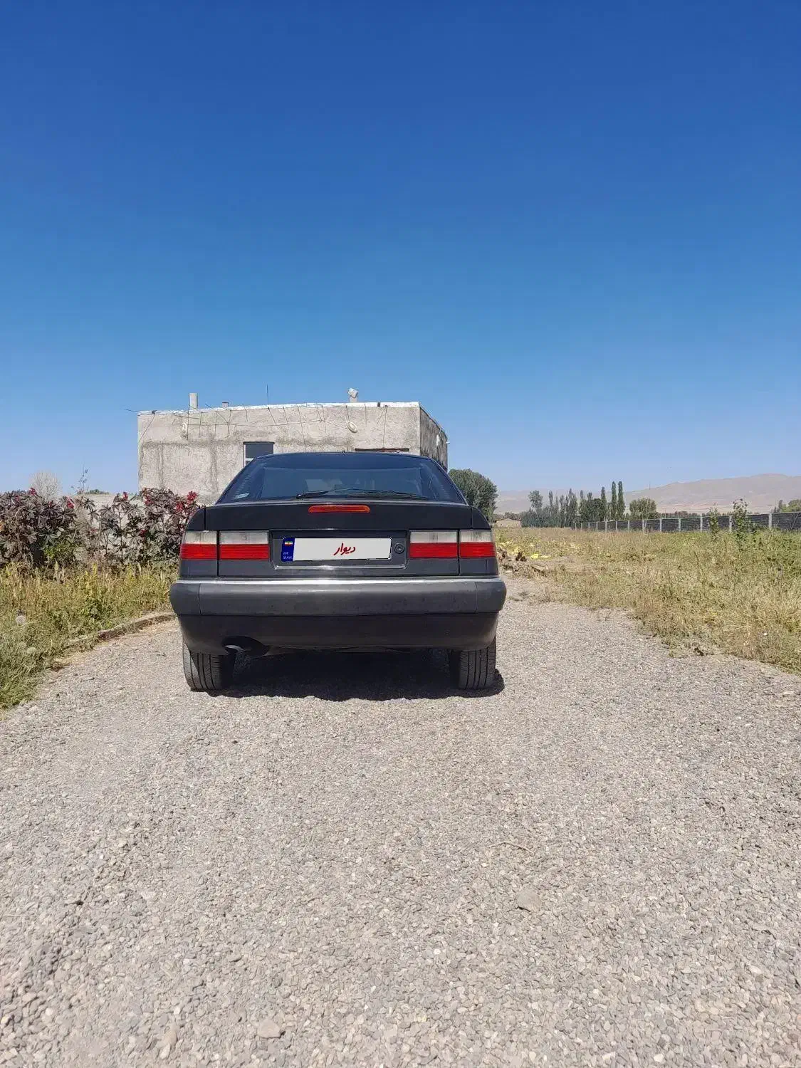 زانتیا ۱۸۰۰ سوپر لوکس مدل ۸۱|خودرو سواری و وانت|تهران, کیانشهر|دیوار