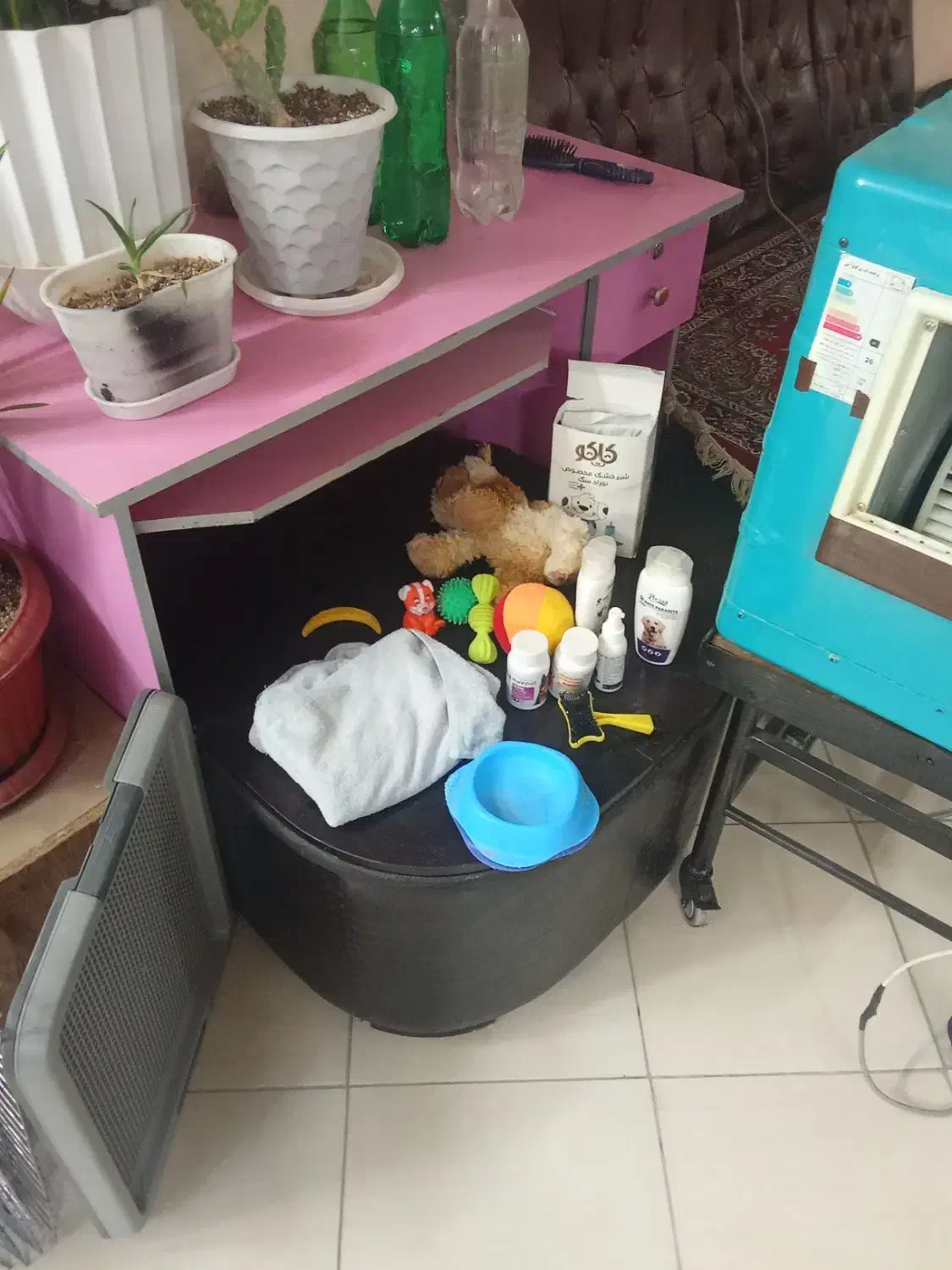 خانه ولوازم سگ درحد نو کامل|لوازم جانبی حیوانات|اصفهان, گلزار|دیوار