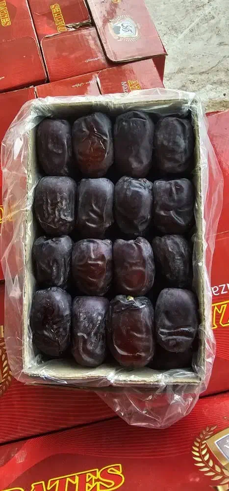 خرما ناب و درجه یک بلوچستان|خوردنی و آشامیدنی|سراوان, |دیوار