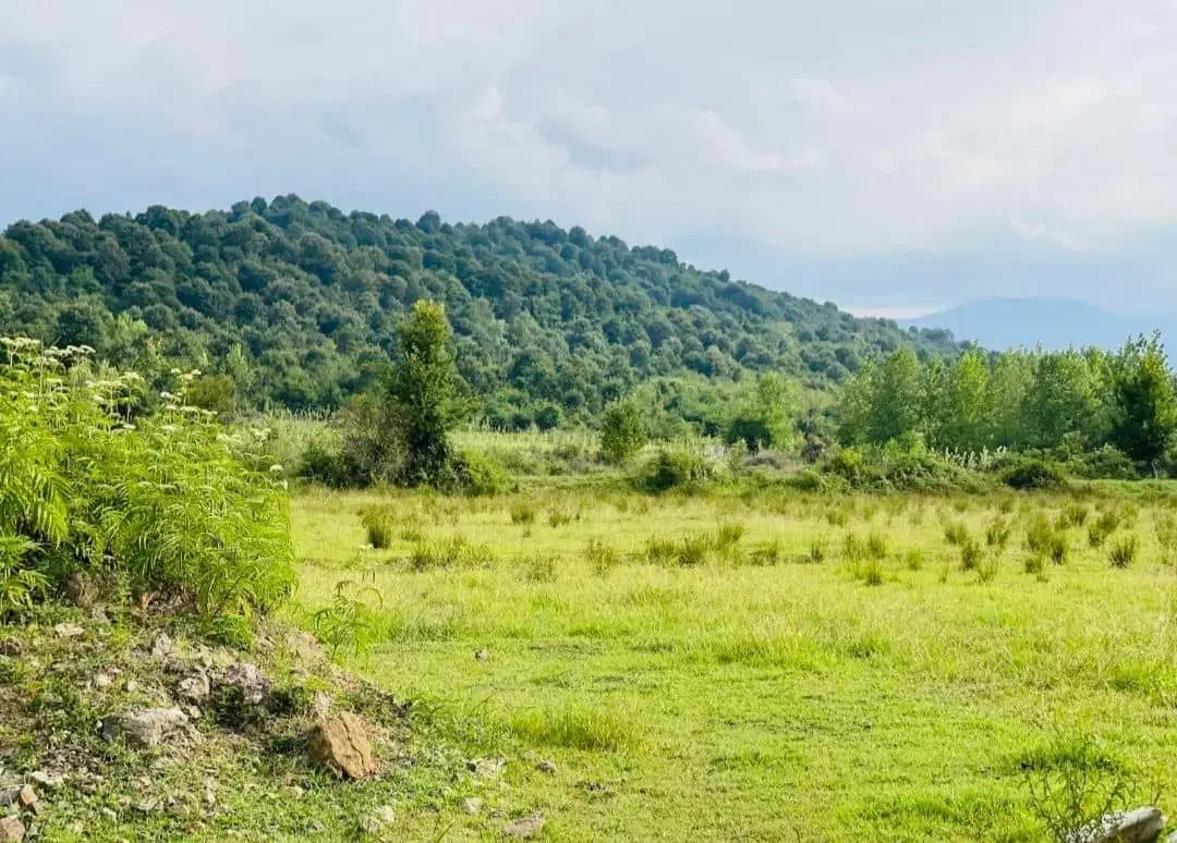 فروش زمین برا گردشگری با ۳۰میلیارد وام|فروش زمین و ملک کلنگی|شفت, |دیوار