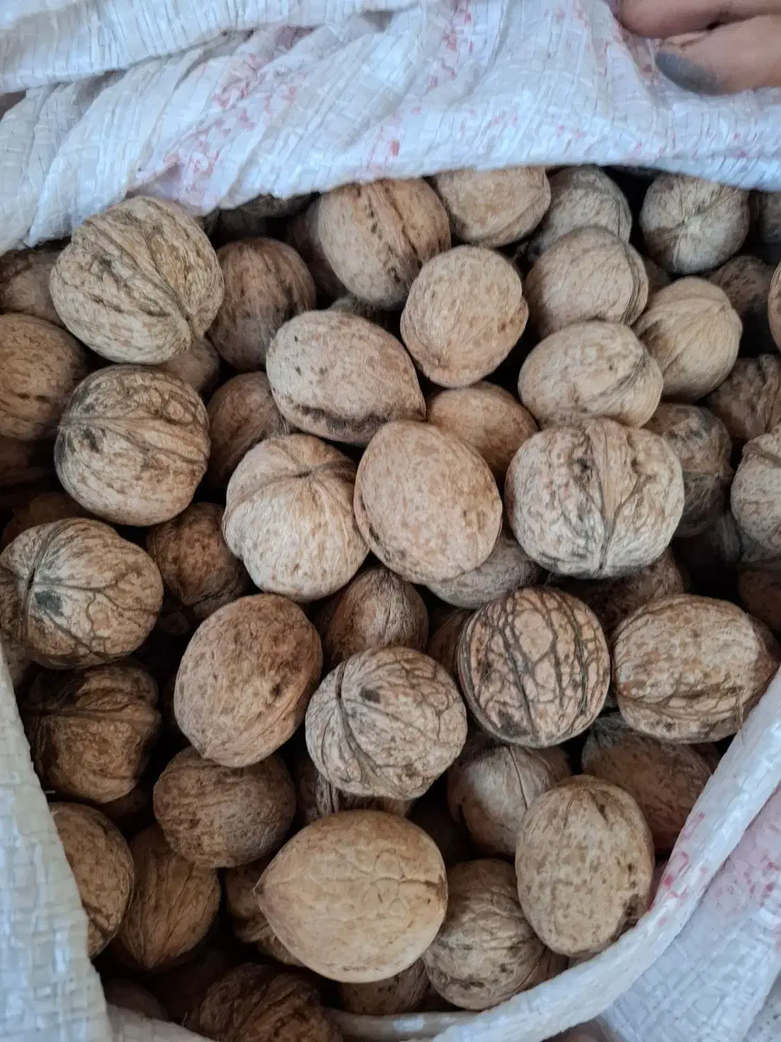 گردو کرند|خوردنی و آشامیدنی|دالاهو, |دیوار