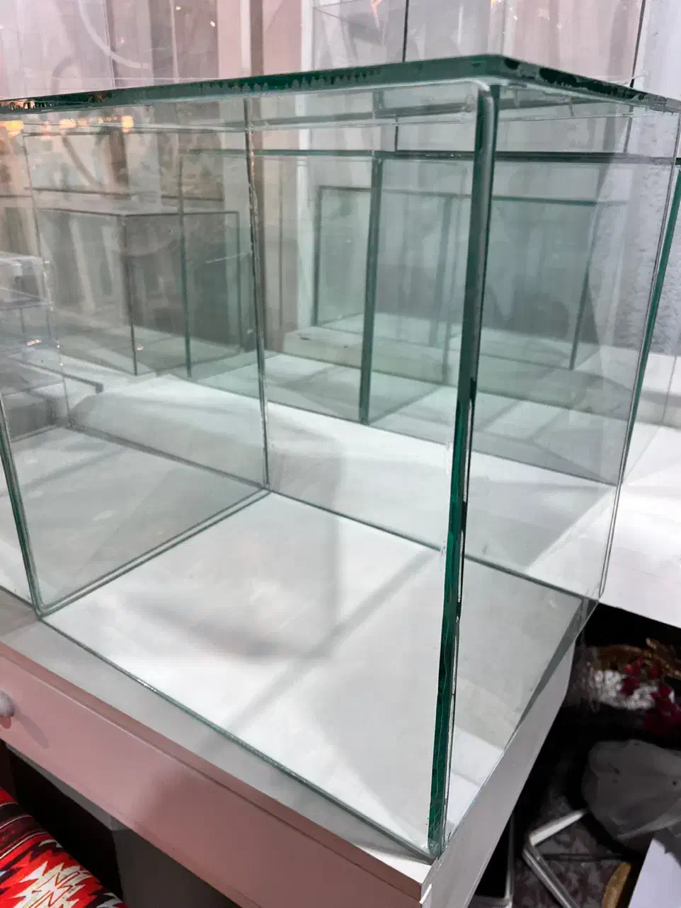 شیشه اگواریم|ماهی|قشم, |دیوار