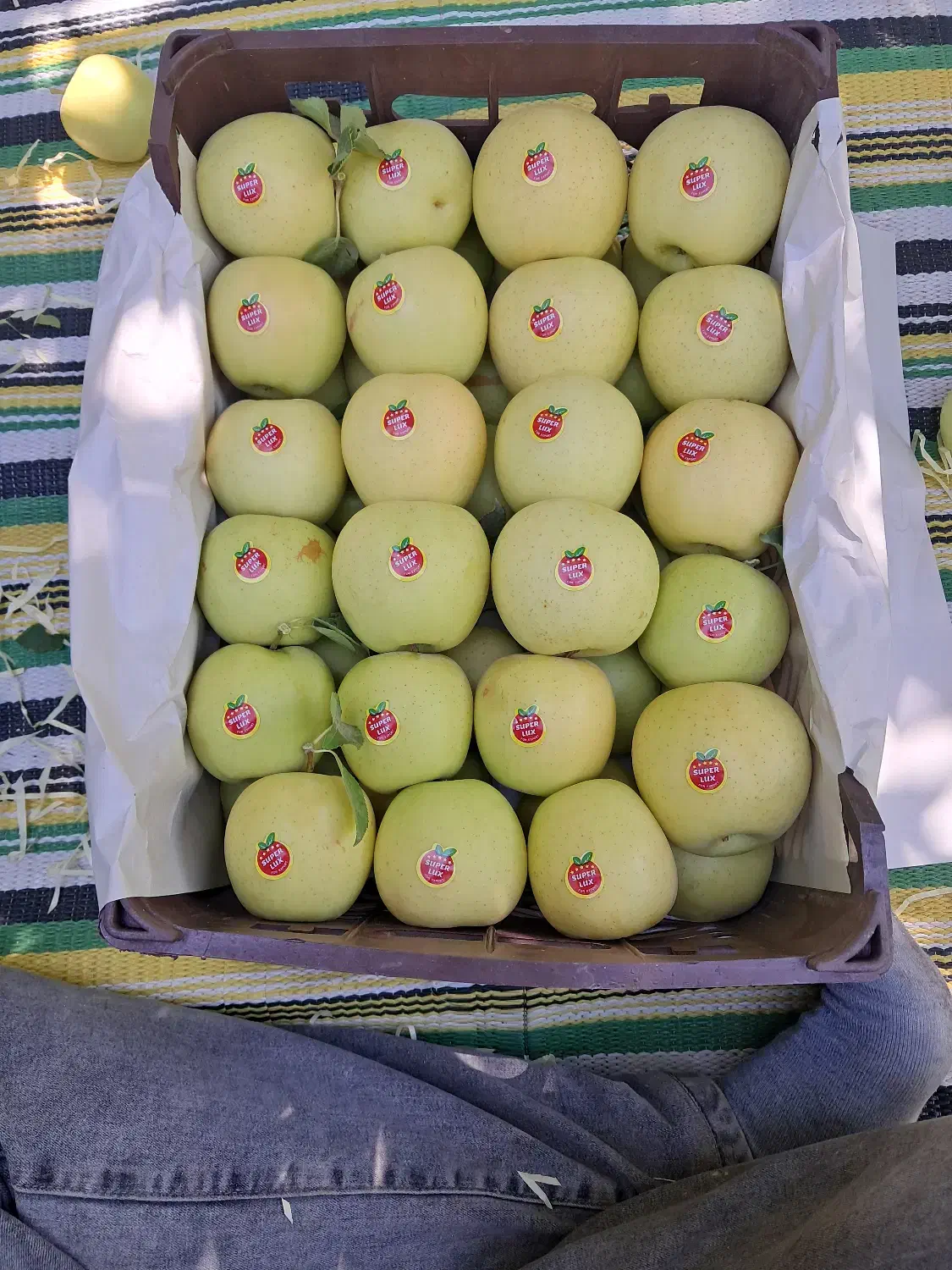 سیب درختی درجه ممتاز|خوردنی و آشامیدنی|تهران, محمودیه|دیوار