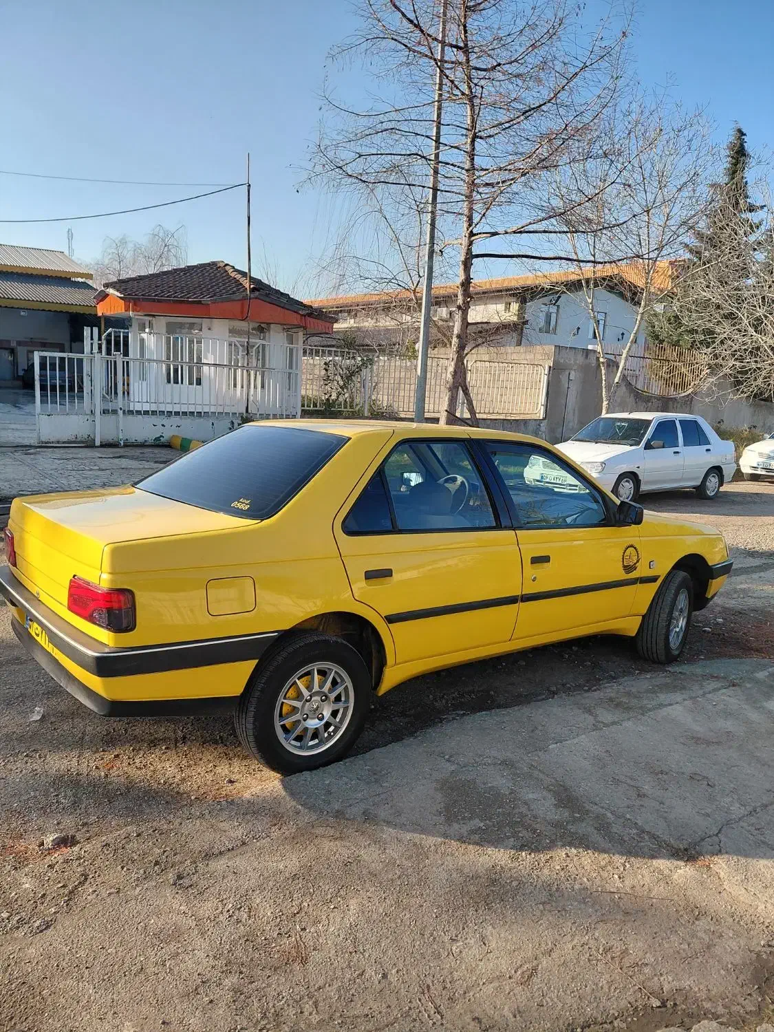 تاکسی دوگانه سوز|خودرو سواری و وانت|رشت, کاکتوس|دیوار