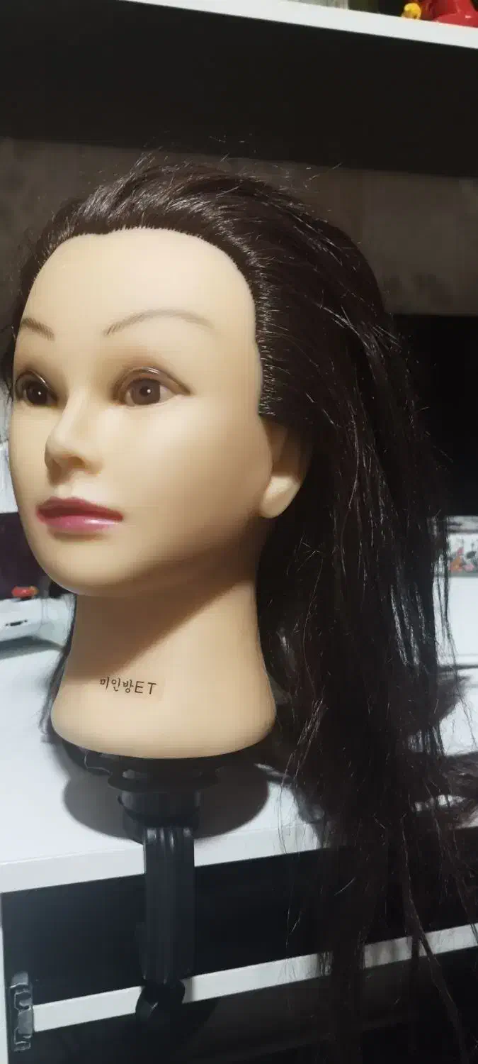 کله مانکن|آرایشگاه و سالنهای زیبایی|رشت, بازار|دیوار