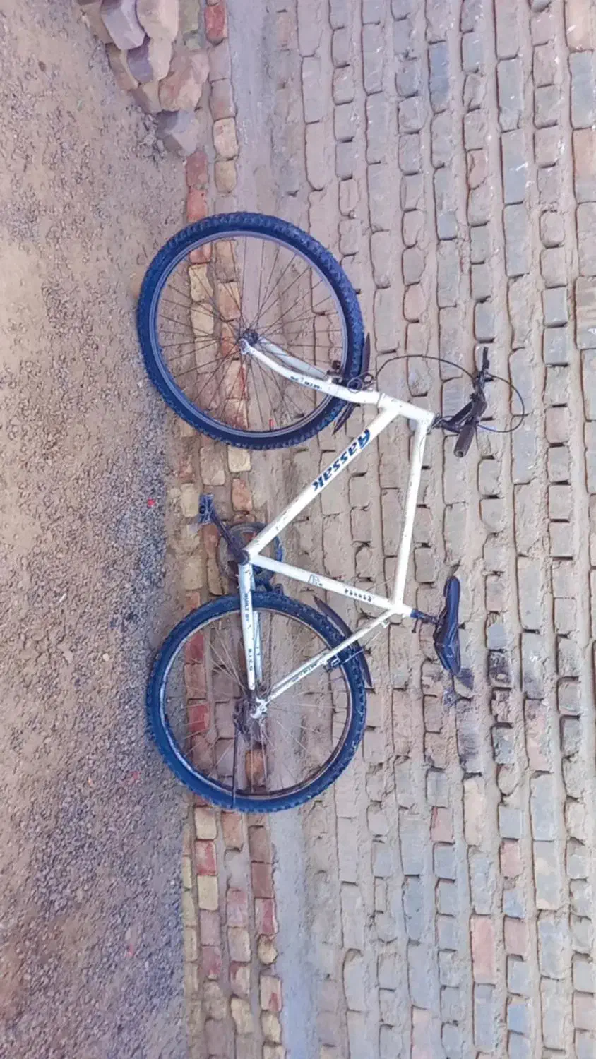 دوچرخه 26آساک 4انگشت قیمت پول لازم|دوچرخه، اسکیت، اسکوتر|زابل, |دیوار