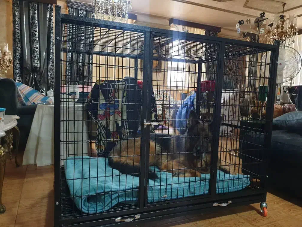 قفس سگ.باکــس فـلزی سگ،گارانتی۲ســاله رنگ|لوازم جانبی حیوانات|صفادشت, |دیوار