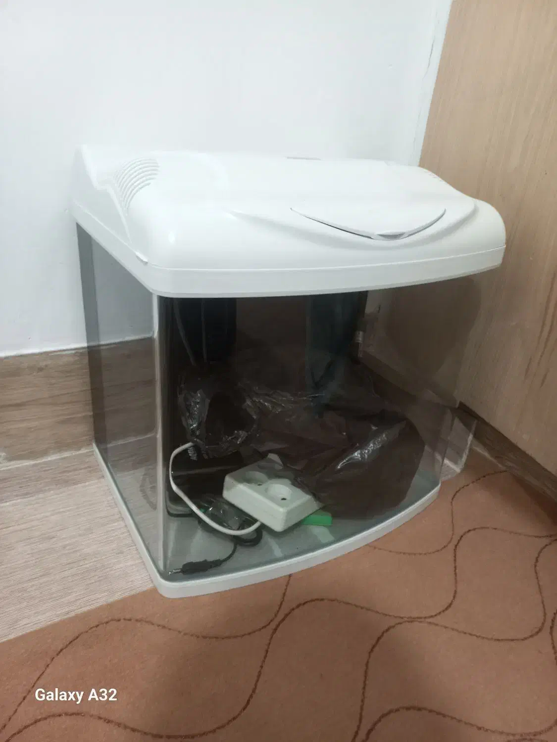 آکواریوم شرکتی|ماهی|سبزوار, علمدار|دیوار