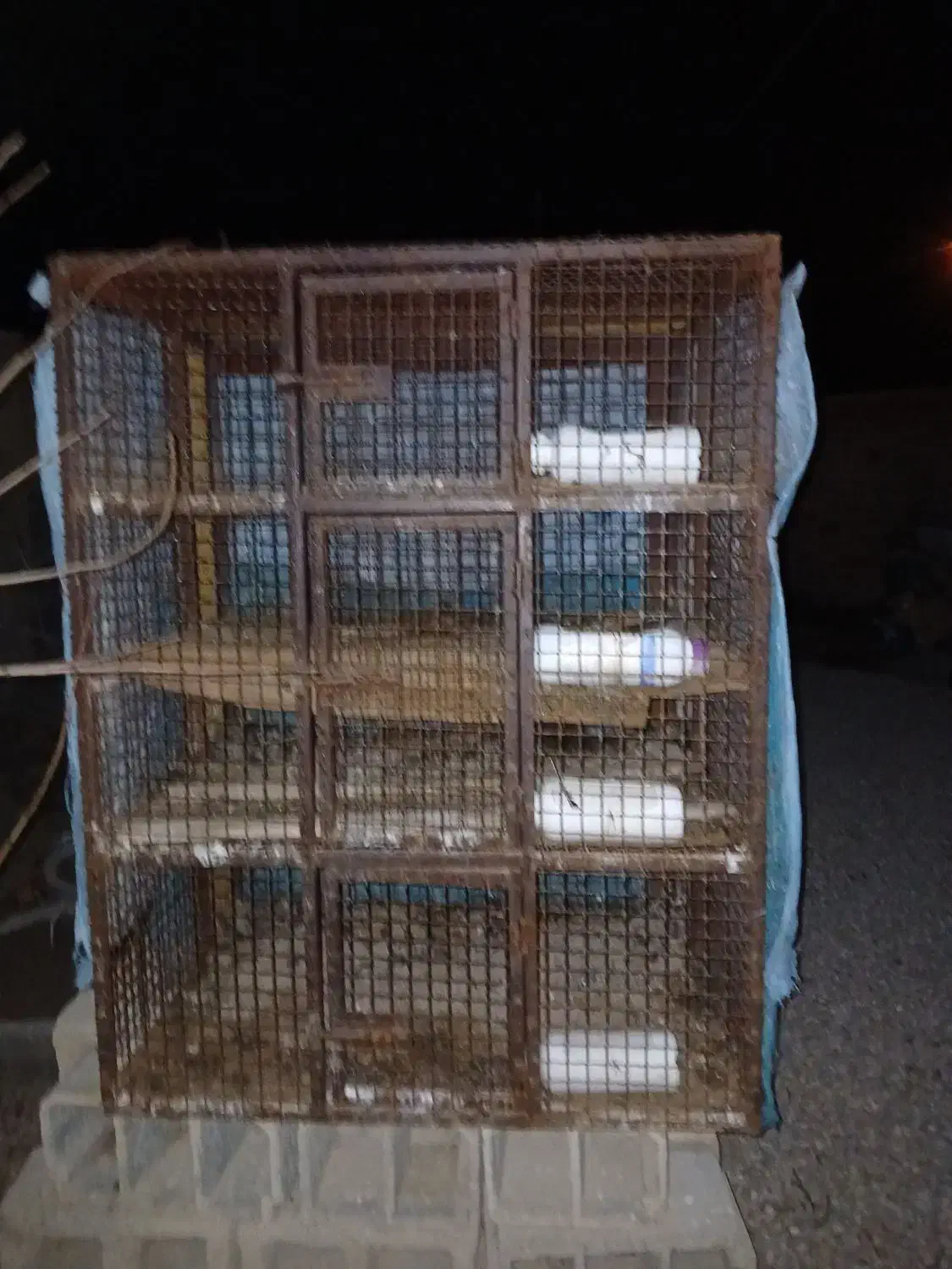 توربند مرغی چهار طبقه پراید باری پیکان باری مرتب|لوازم جانبی حیوانات|مرودشت, نقش رستم|دیوار