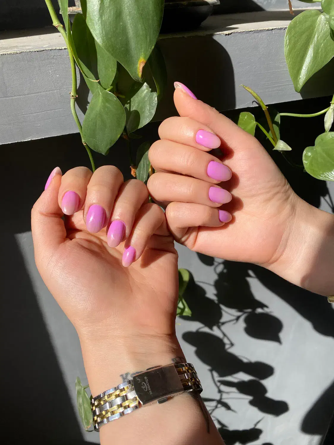 کاشت ۲۸۰|خدمات آرایشگری و زیبایی|الوند, |دیوار