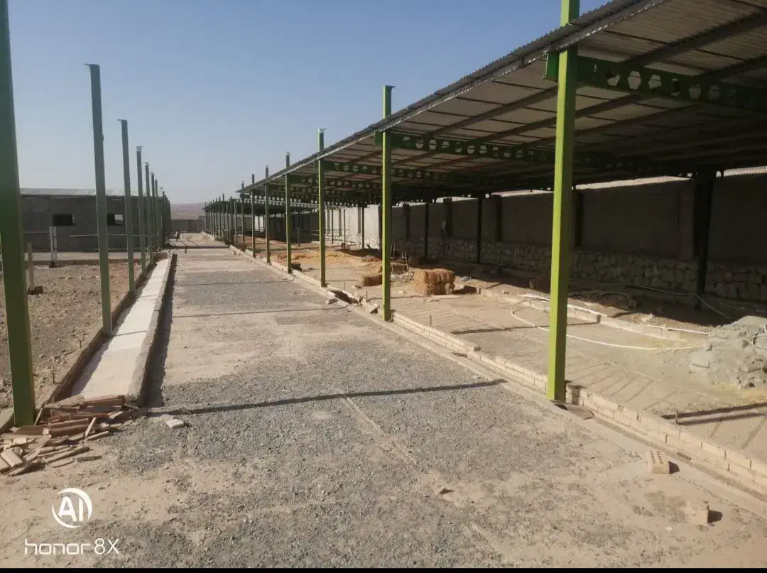 فروش دامداری|فروش دفتر صنعتی، کشاورزی، تجاری|سبزوار, قصبه غربی|دیوار