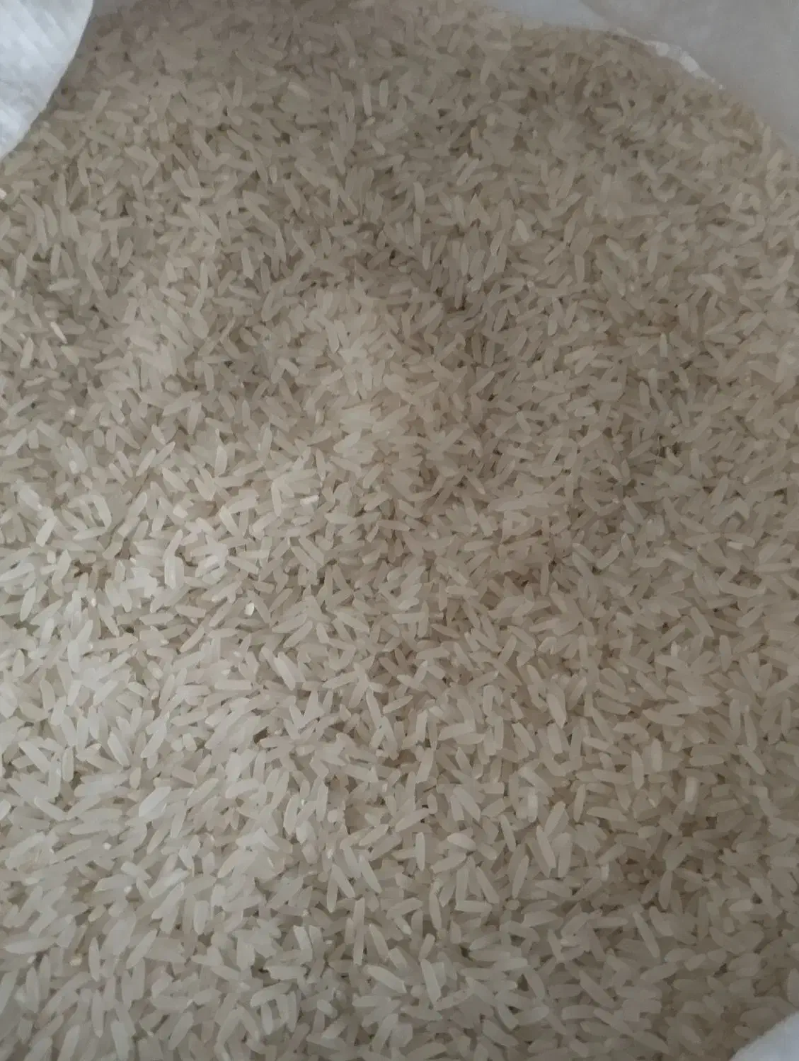 برنج محلی دم سیاه|خوردنی و آشامیدنی|گنبد کاووس, |دیوار