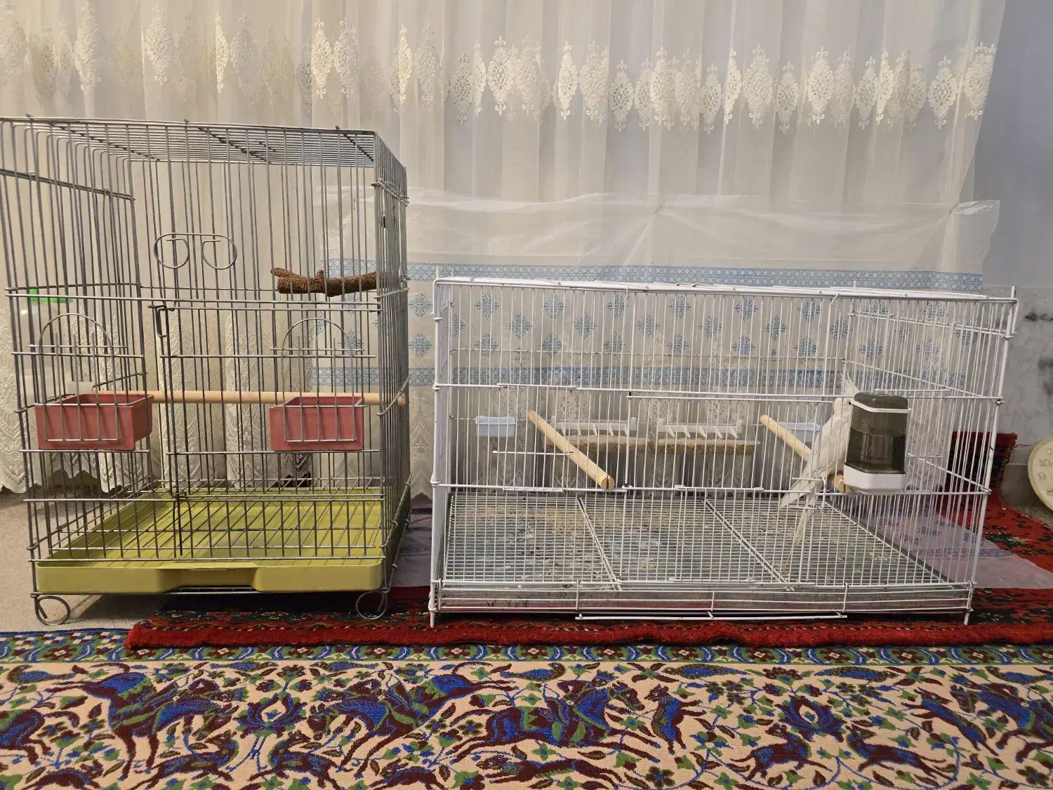 قفس|لوازم جانبی حیوانات|شیراز, شهرک قمشه|دیوار