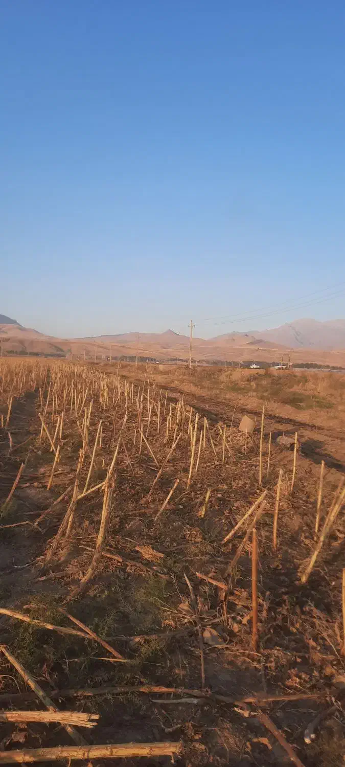 زمین برجاده اصلی دینور|فروش زمین و ملک کلنگی|دینور, |دیوار