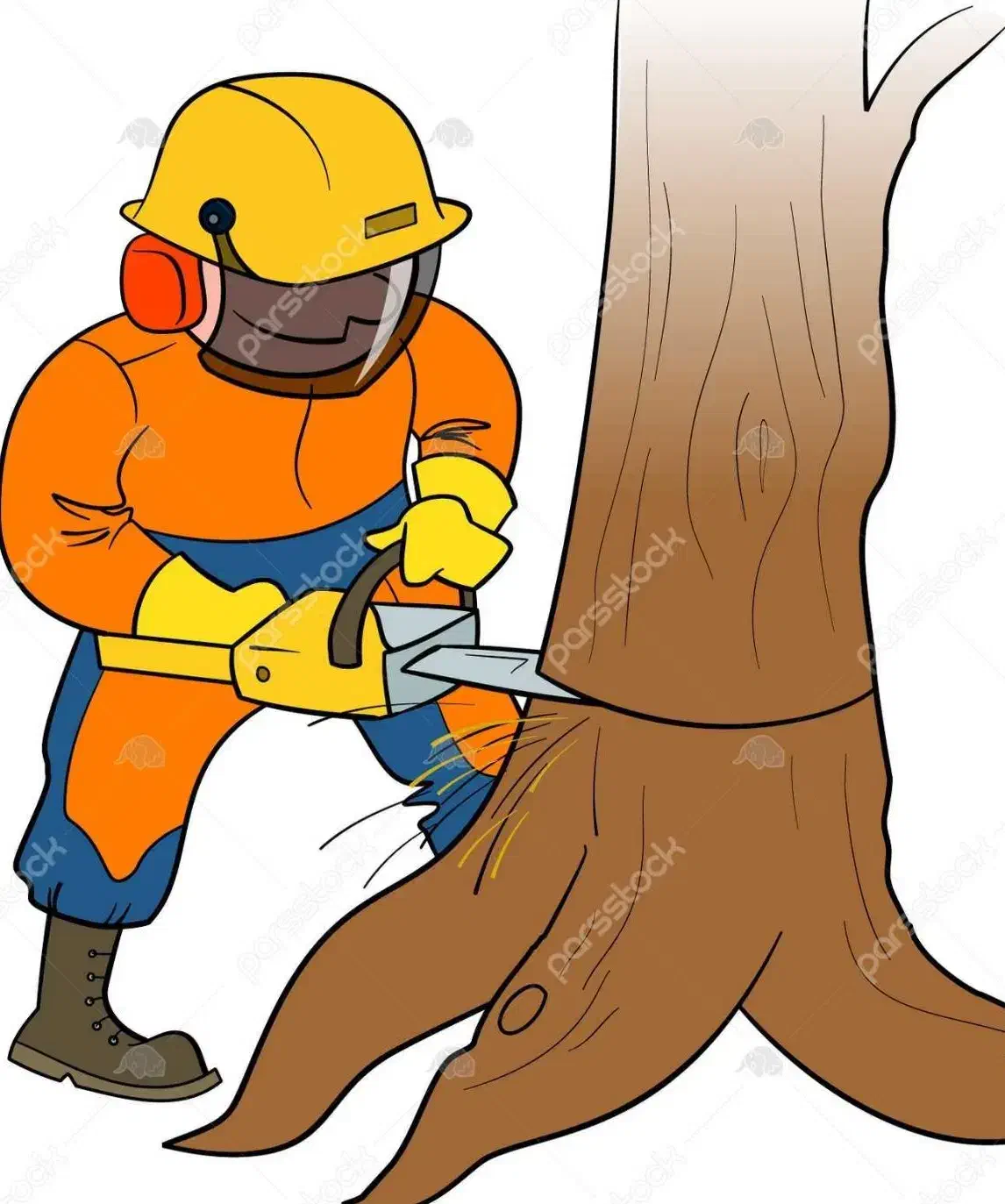 بریدن درختان خشک و بی مصرف بصورت اصولی|خدمات باغبانی و درختکاری|سیرجان, |دیوار