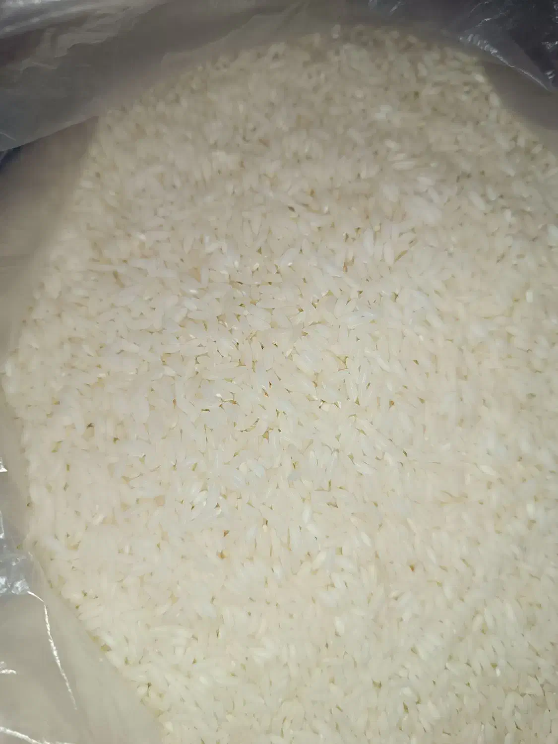 برنج عنبر بو هندی|خوردنی و آشامیدنی|ایلام, |دیوار