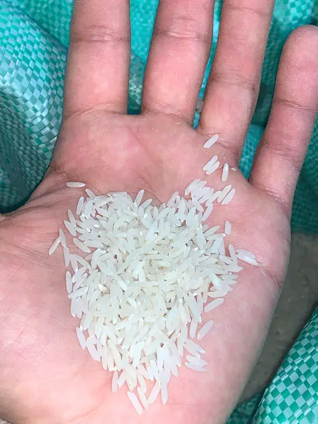 برنج درجه یک هاشمی کشت دوم|خوردنی و آشامیدنی|سرخرود, |دیوار