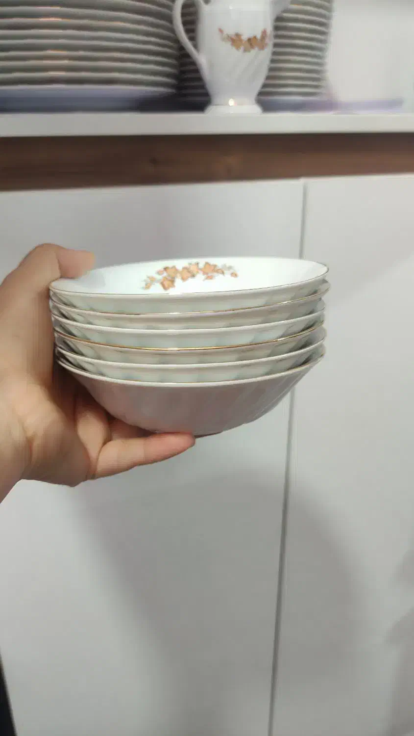 چینی زرین گل پاییزی|ظروف سرو و پذیرایی|اشتهارد, |دیوار