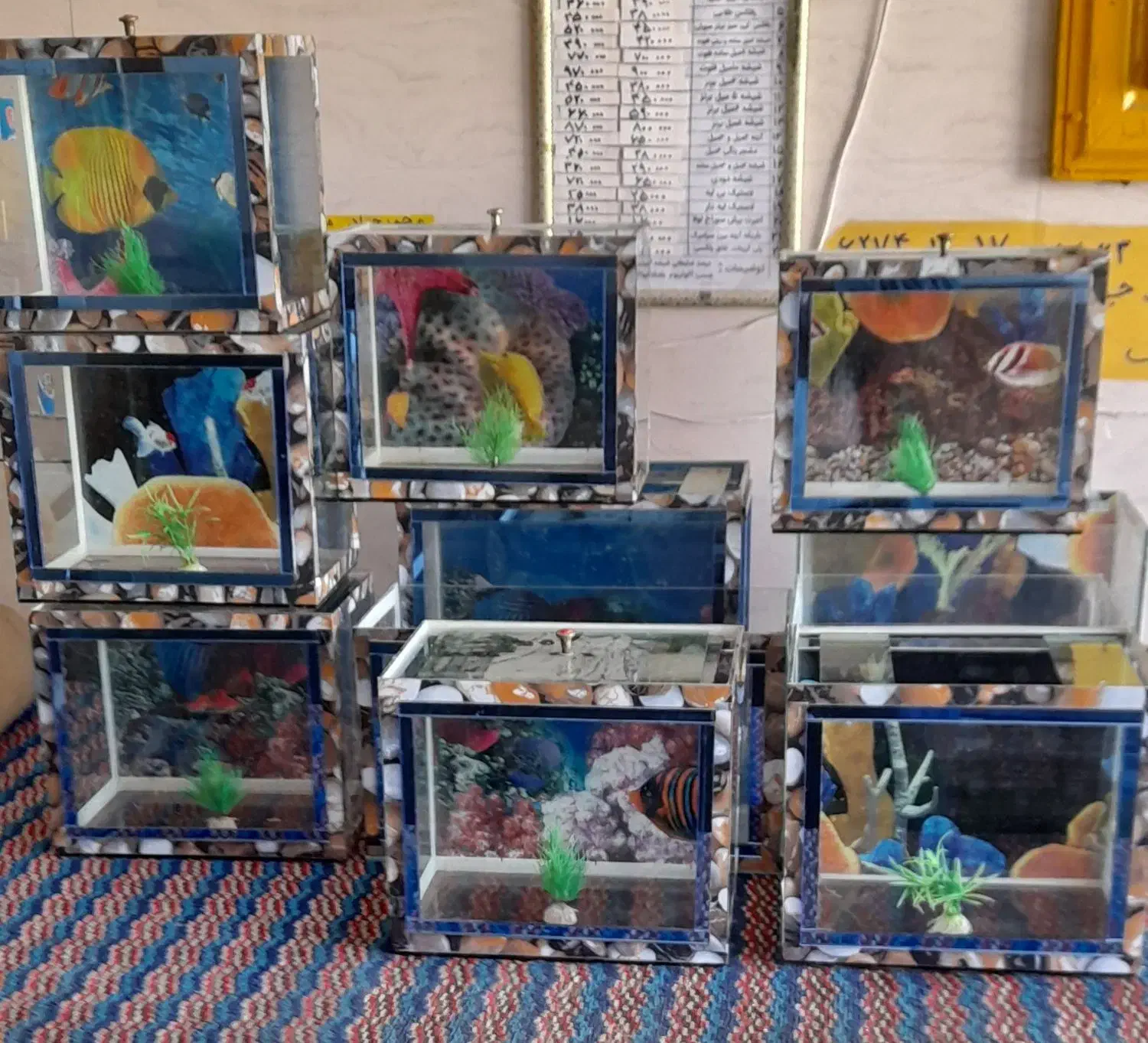 آکواریوم|حراج|شیراز, شهدای شهرک سعدی|دیوار