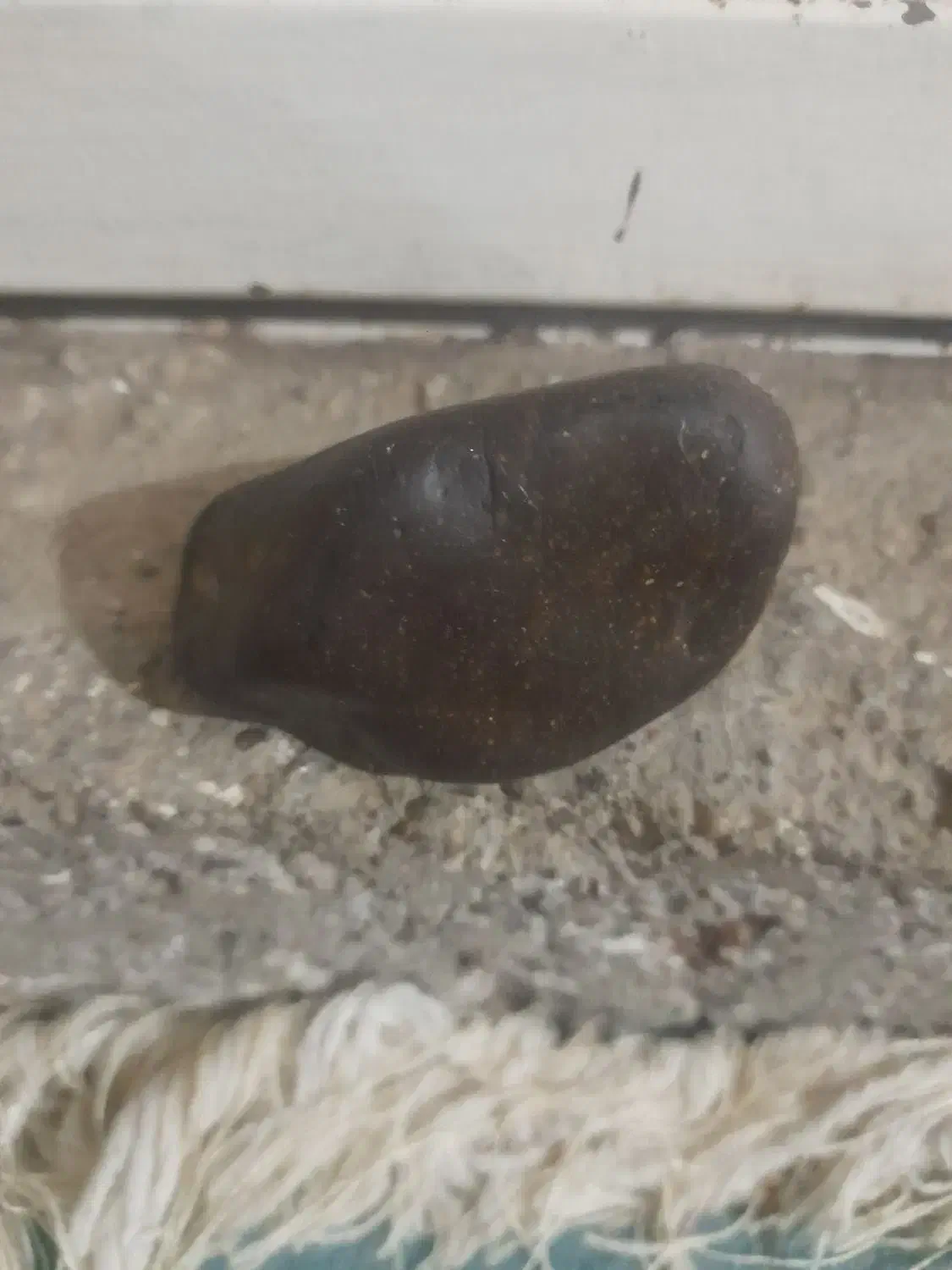 شهاب‌سنگ‌|کلکسیون اشیاء عتیقه|طرقبه, |دیوار