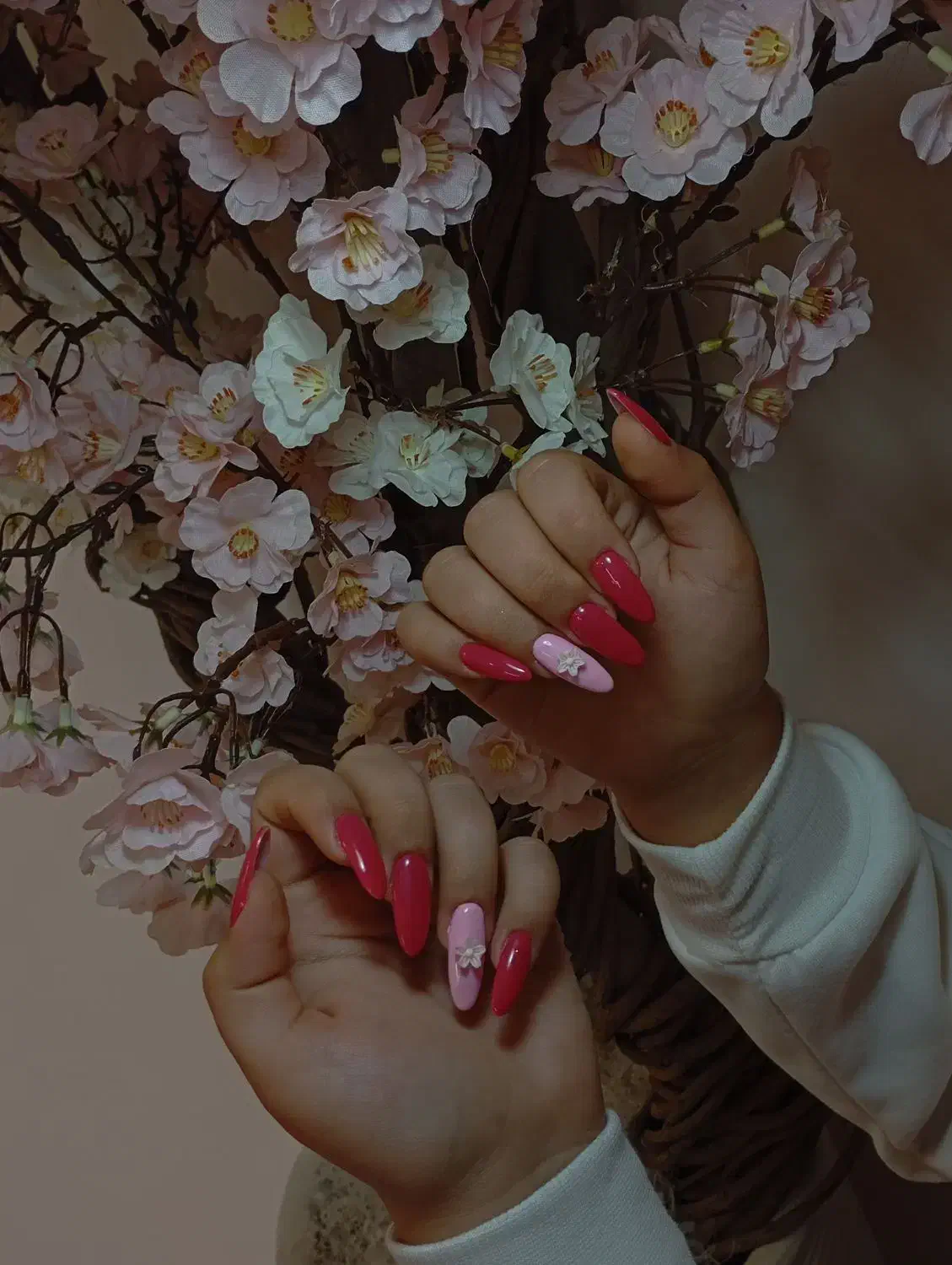 ناخن|خدمات آرایشگری و زیبایی|شیروان (خراسان), |دیوار