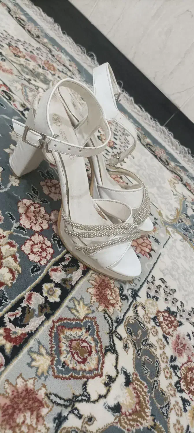 کفش مجلسی|کیف، کفش، کمربند|جوانرود, |دیوار